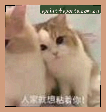 刘洋
